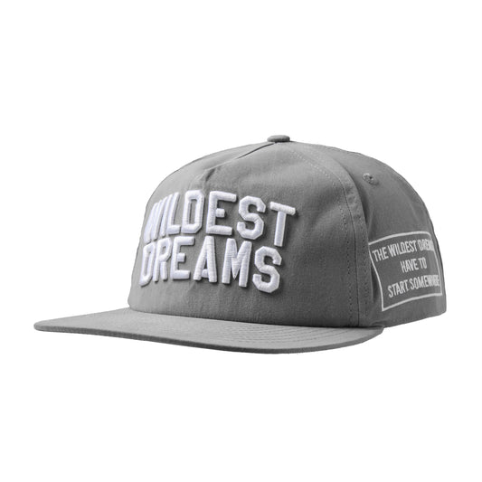 Wildest Dreams Varsity Cap - Grey